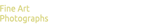 Portfolio Header Portraits