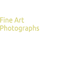 Portfolio Landscapes